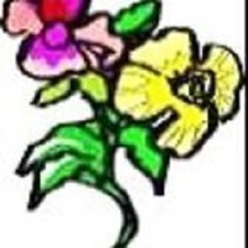 Avatar for Sue's Custom Gardens