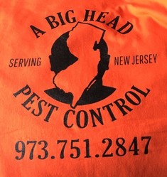 A Bighead Pest Control, LLC logo