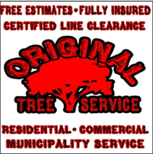 Avatar for Original Tree Service