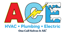 Avatar for Ace Solves It All
