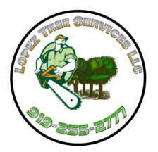 Avatar for Lopez Tree Services