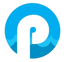 Peerless Pool Service logo