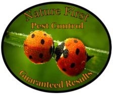 Avatar for Nature First Pest Control - Hlavn strnka Facebook