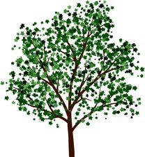 Logo for Cannon Lawn & Tree