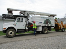 National Tree Care LLC logo