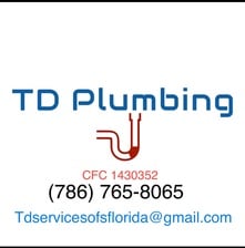 Logo for TD Services of South Florida, Inc.