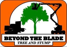Avatar for Beyond the Blade, LLC