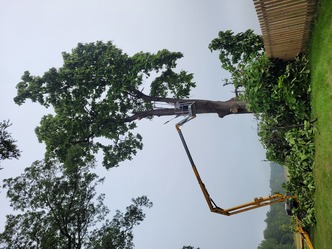 FTW Tree Services logo