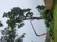 Avatar for FTW Tree Services