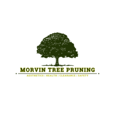 Avatar for Morvin Tree Pruning