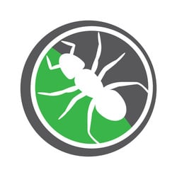 Cal Termite & Pest Control logo