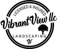 Avatar for Vibrant View, LLC