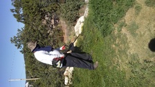 Avatar for Backyard Services