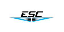 Electronic System Connect logo