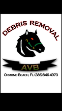 Avatar for AVB Debris Removal, LLC