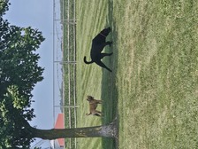 Avatar for KLB Services, LLC