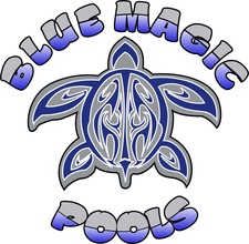 Blue Magic Pools, LLC logo