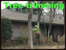Logo for Kevin's Tree Service