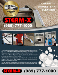 Steam-X logo
