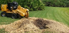 Clint Adams Lawn Service logo