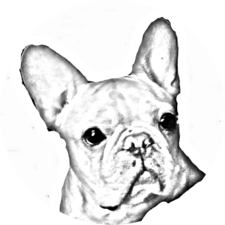 Logo for Einstein Construction Design