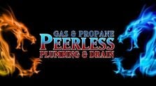 Avatar for Peerless Plumbing and Drain Services Incorporated