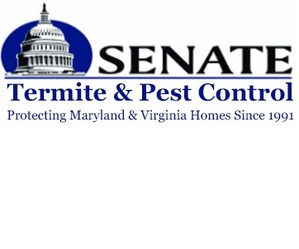 Senate Termite and Pest Control logo