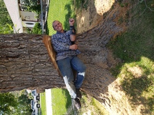 Avatar for American Firewood and Tree Service