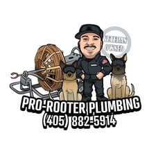 Avatar for Pro-Rooter Plumbing & Drain Services
