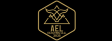Avatar for Ael Electric Llc