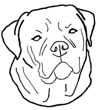 Avatar for Mastiff Painting, LLC