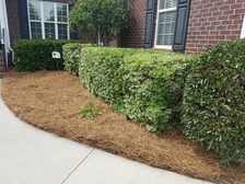 Logo for Perfect Choice Lawn Maintanence