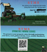 Springtree Mowing Service logo