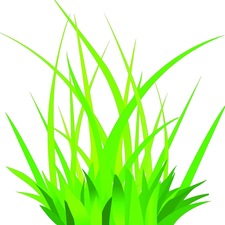 Avatar for Lawnscapes USA, LLC
