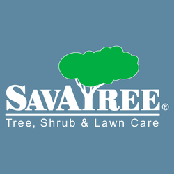 SavATree - Brookville logo