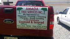 Logo for Amada Tree Service, Inc.