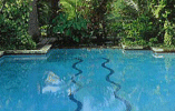 Avatar for Backyard Concepts, Inc.