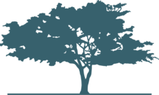 DWC Outdoors & Hauling, LLC logo