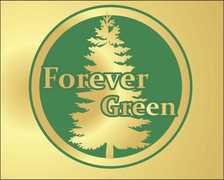Forever Green Landscaping - Inicio Facebook logo