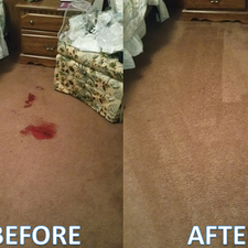 Steam Team Carpet Cleaning Home Facebook