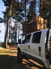 Avatar for Precision Tree Care
