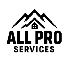 Avatar for All Pro Services