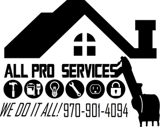 All Pro Services logo