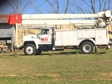 A1 Tree Service logo