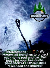 Logo for Forestman Tree Service and Lawn Care