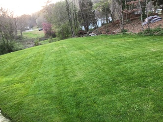 Flores Lawn Care, LLC logo