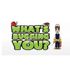 Avatar for Whats Bugging You Pest Control