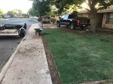 Avatar for Texas Touch Lawn Services