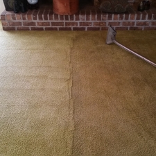 Upholstery Cleaning Carters Carpet Restoration