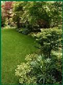 DONE YOUR WAY LANDSCAPING logo